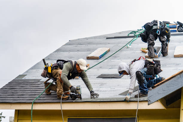Professional Storm Damage Roof Repair technician working in Somerset, TX